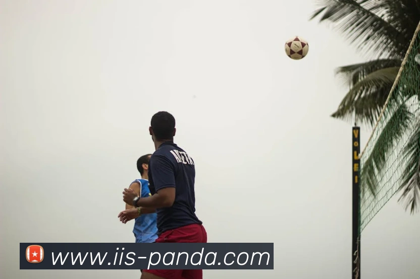 App Interface Preview